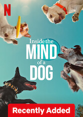 Inside the Mind of a Dog